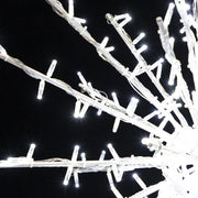 Decorative lighting on branches against a dark background