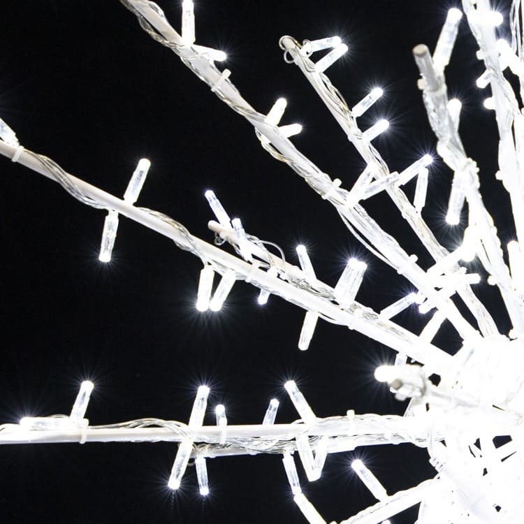 Decorative lighting on branches against a dark background
