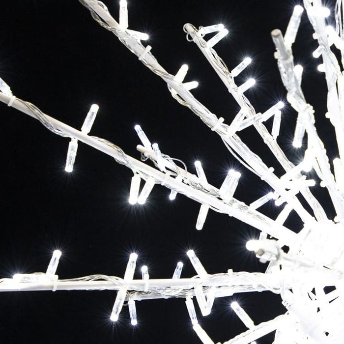 Decorative lighting on branches against a dark background