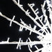 Decorative lighting on branches against a dark background