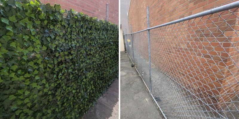 Artificial Boston Ivy Green Wall 33SQ FT Pack of 3 - Commercial Grade UV Resistant