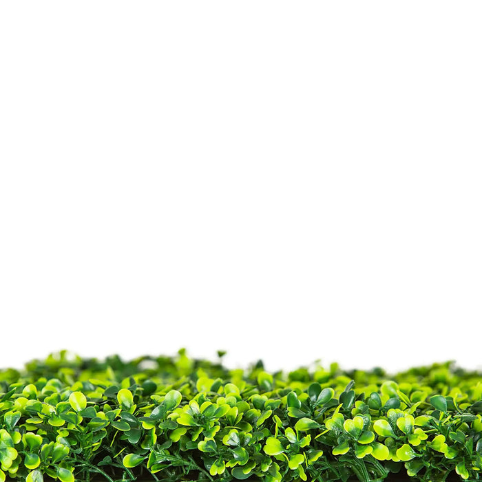 Designer Plants Artificial Mixed Boxwood Hedge Panel Wall 40" x 40" 11SQ FT Commercial Grade UV Resistant