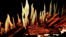 Close-up of flames burning wood in a fireplace