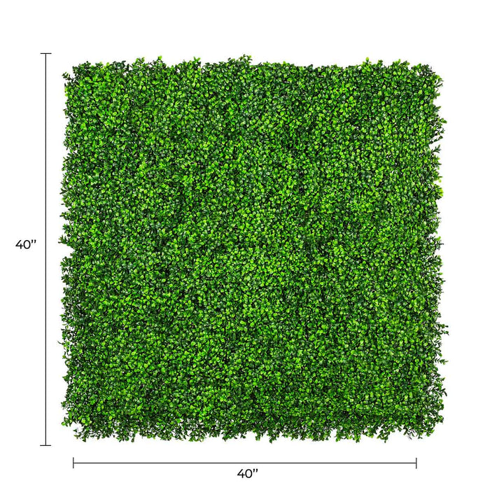 Premium Bright Artificial Boxwood Wall 40" x 40" 11SQ FT Commercial Grade UV Resistant