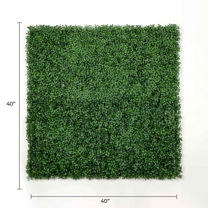 Designer Plants Dark Artificial Boxwood Wall (6 Pieces 40" x 40") 66 SQ FT Set Commercial Grade UV Resistant