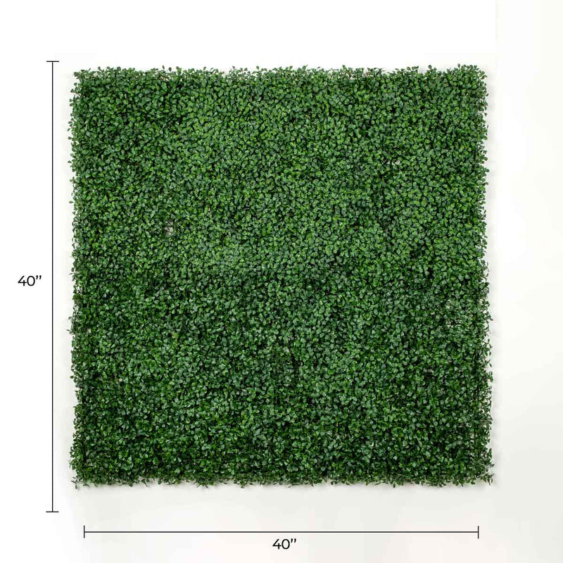 Dark Artificial Boxwood Wall (Pack of 6 40" x 40") 66 SQ FT Set Commercial Grade UV Resistant