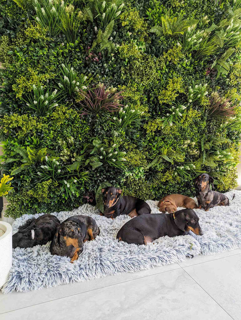 Lush Spring Artificial Vertical Garden Green Wall 40" x 40" 11SQ FT - Commercial Grade & UV Resistant