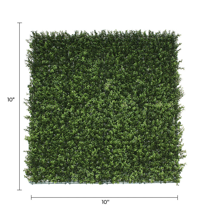 Sample Panel of Natural Artificial Boxwood Wall (Small Sample) Commercial Grade UV Resistant