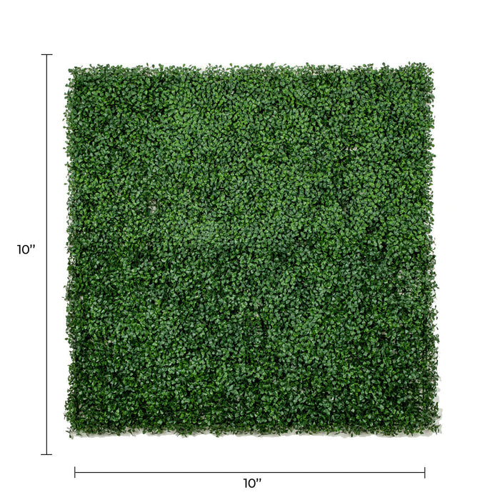 Sample Panel of Premium Dark Artificial Boxwood Wall (Small Sample) Commercial Grade UV Resistant