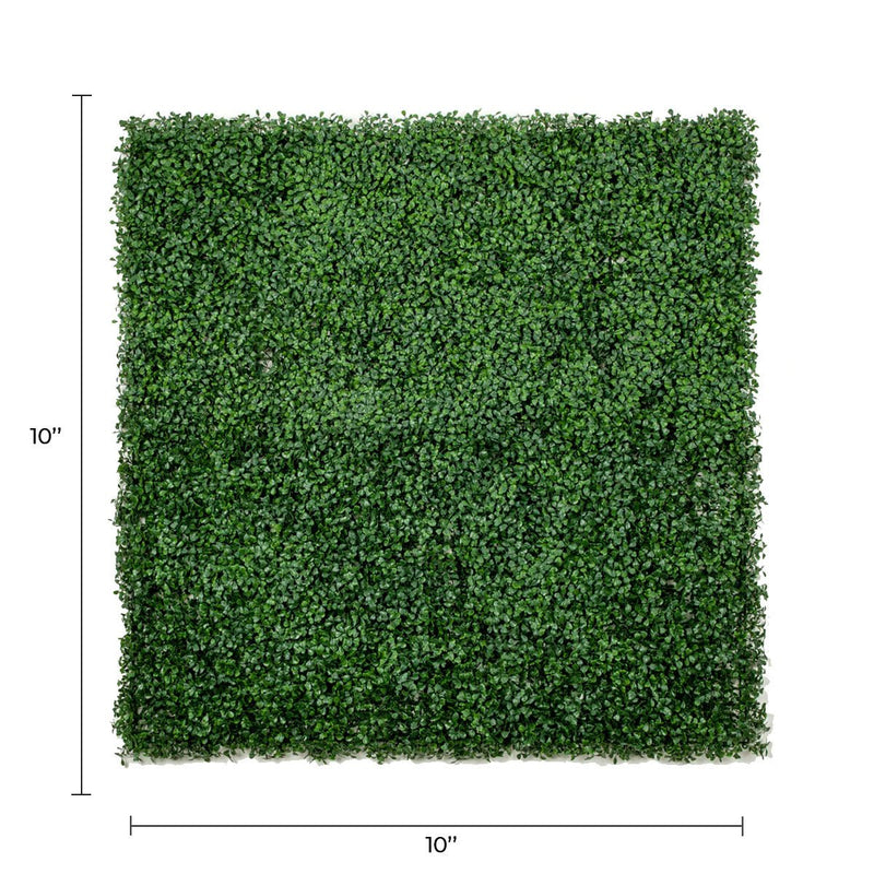 Sample Panel of Premium Dark Artificial Boxwood Wall (Small Sample) Commercial Grade UV Resistant