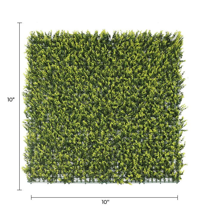 Sample Panel of Yellow English Artificial Boxwood Wall (Small Sample) Commercial Grade UV Resistant