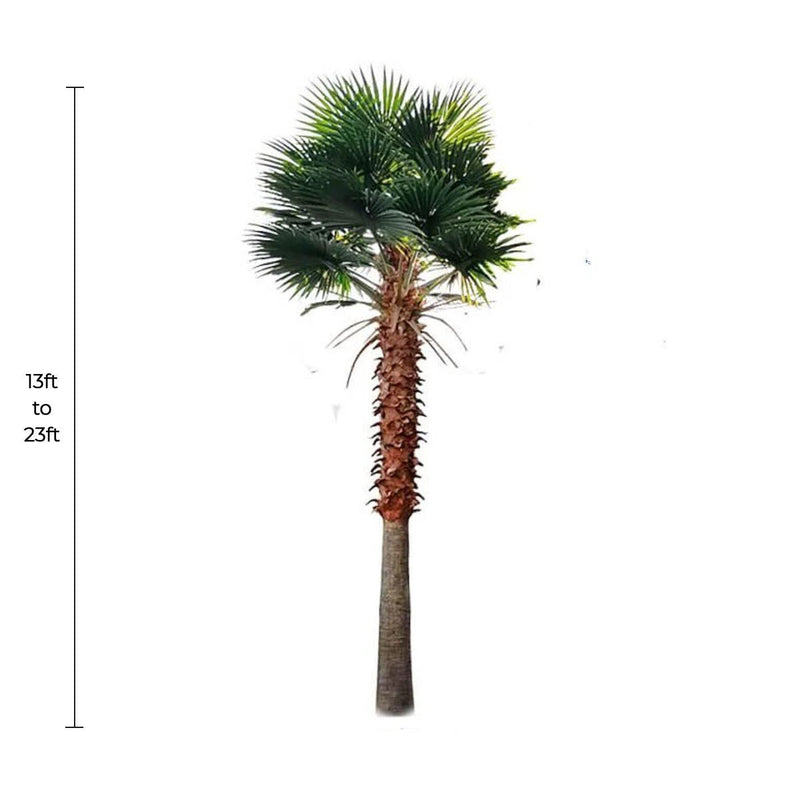 Large Artificial Mexican Fan Palm Tree (13ft - 23ft) UV Resistant