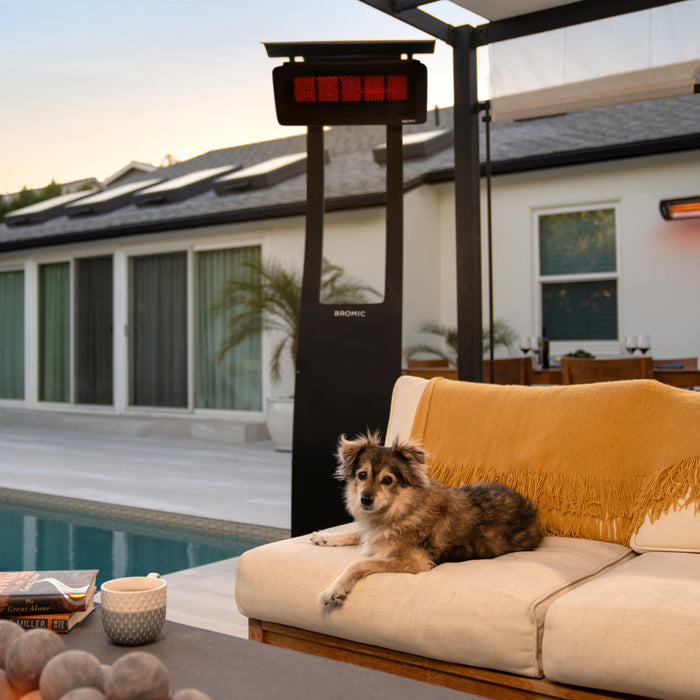 Dog lying on a couch by a pool with a freestanding black patio heater in the background
