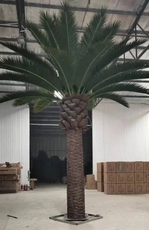 Large Artificial Florida Palm Tree (13ft To 23ft) UV Resistant