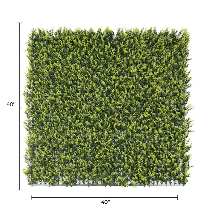 Designer Plants Yellow English Artificial Boxwood Wall 40" x 40" 11SQ FT Commercial Grade UV Resistant