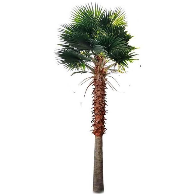 Very Large Artificial Mexican Fan Palm Tree. Also known as a Washington Palm Tree with Faux Foliage.