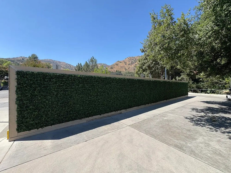 Dark Artificial Boxwood Wall (Pack of 6 40" x 40") 66 SQ FT Set Commercial Grade UV Resistant