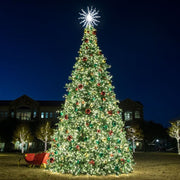 Decorated Christmas tree with lights and ornaments in a park setting at night.