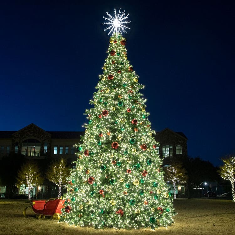 Decorated Christmas tree with lights and ornaments in a park setting at night.