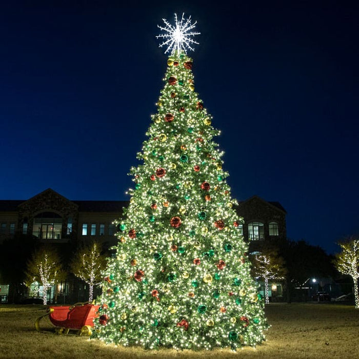 Decorated Christmas tree with lights and ornaments in a park setting at night.