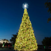 Decorated Christmas tree with lights and ornaments against a dark sky