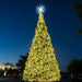 Decorated Christmas tree with lights and ornaments against a dark sky