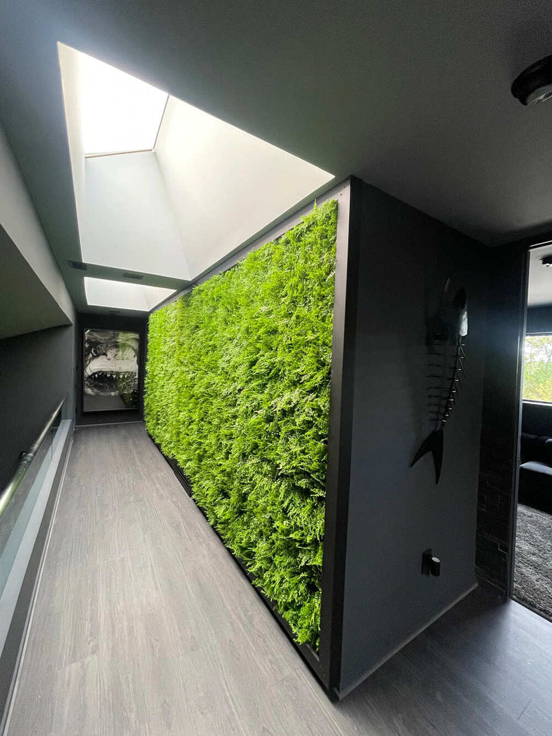Lush Fern Artificial Green Wall 40" x 40" 11SQ FT Commercial Grade UV Resistant