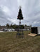 Decorated Christmas tree on a stand in an outdoor setting with cars and buildings in the background.