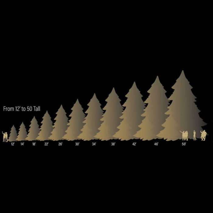 Illustration of christmas trees with height measurements from 12' to 50' on a black background