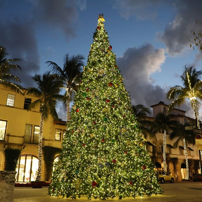 Large decorated Christmas tree in an urban setting with palm trees and buildings.