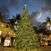 Large decorated Christmas tree in an urban setting with palm trees and buildings.