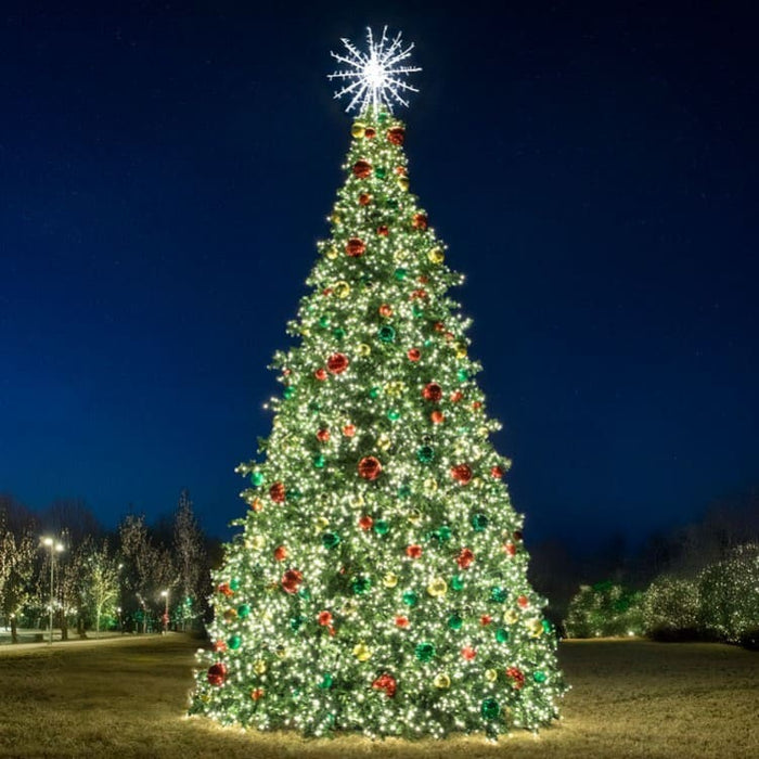 Decorated Christmas tree with lights and ornaments against a dark sky