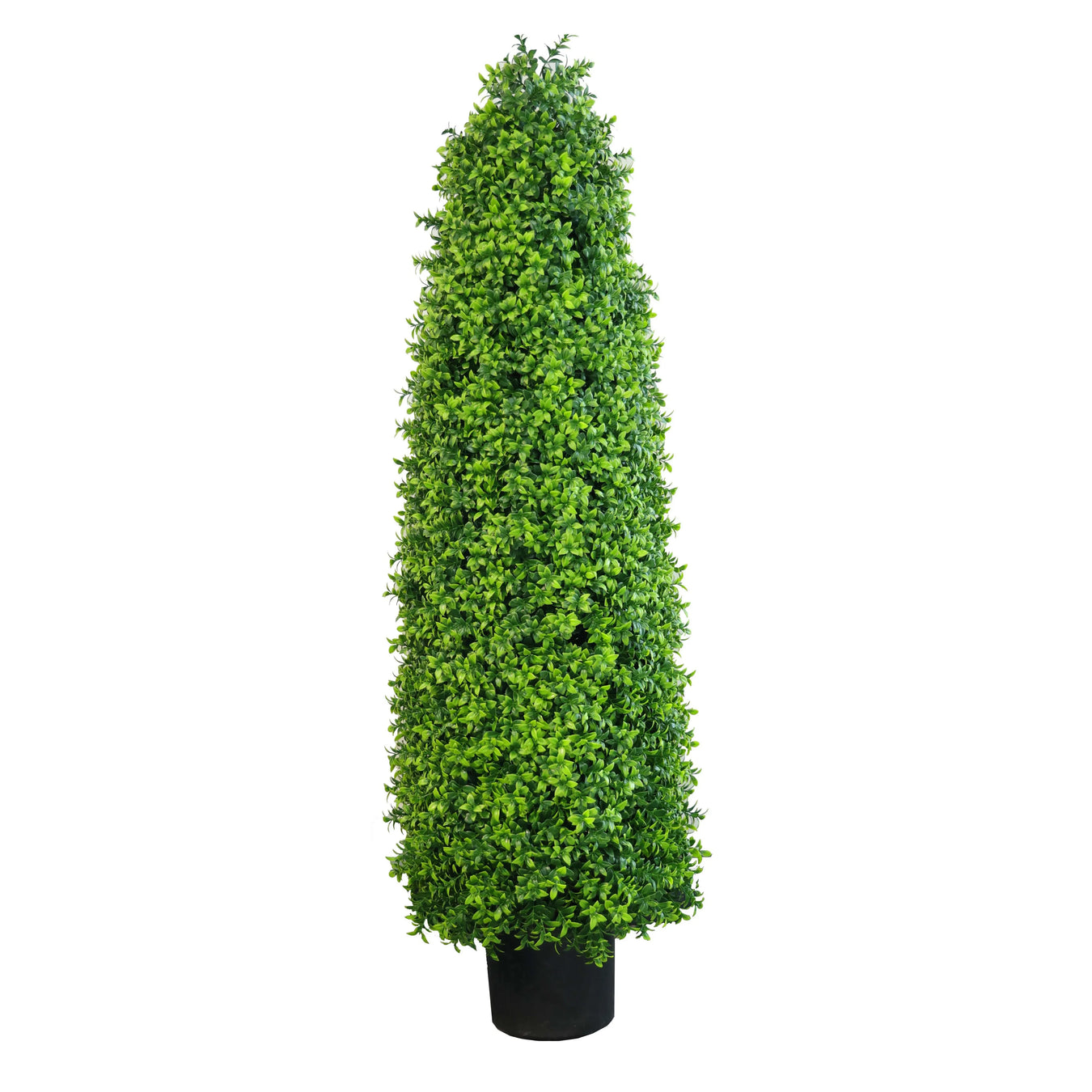 Plants & Topiary