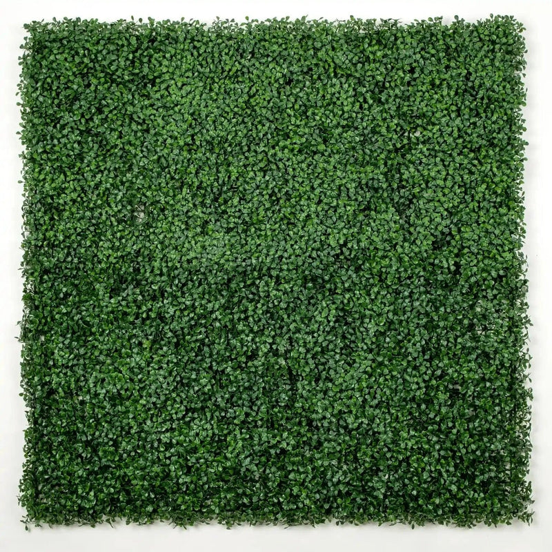 Dark Artificial Boxwood Wall (Pack of 6 40" x 40") 66 SQ FT Set Commercial Grade UV Resistant