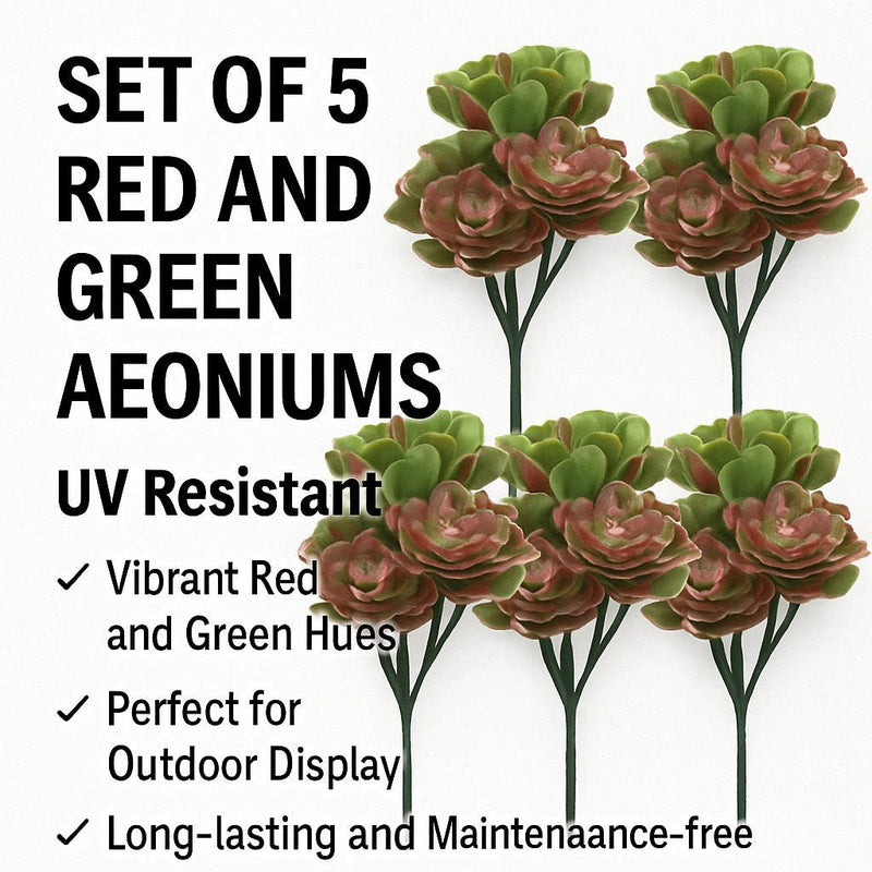Set of 5 Red and Green Aeoniums Succulent Plants – 30cm / 11.8" UV Resistant