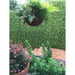 Artificial Myrtle Greenery Mat Panels & Faux Boxwood Privacy Panels on a Fence